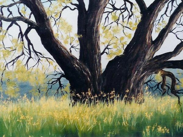 Danville Oak  10x10"  oil on canvas   SOLD