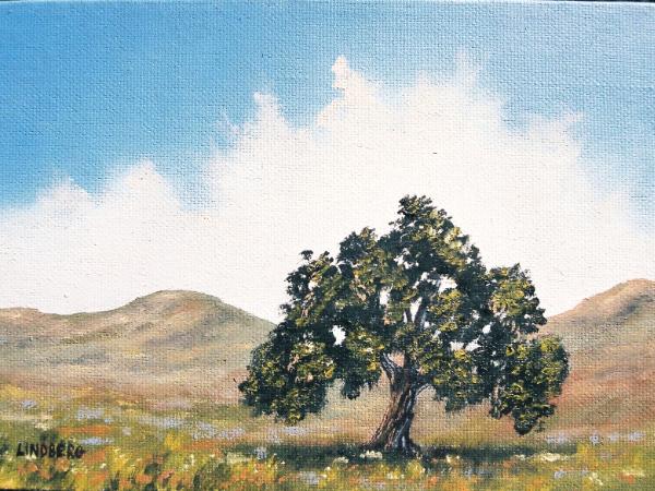 Lone Oak  5x7"  oil on canvas SOLD 