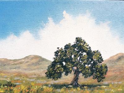 Lone Oak 5x7" oil on canvas SOLD Lone Oak 5x7" oil on canvas SOLD