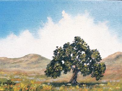 Lone Oak  5x7"  oil on canvas SOLD 