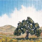 Lone Oak  5x7"  oil on canvas SOLD 