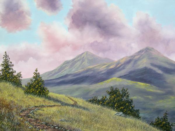 Mt. Diablo's North Peak  24x30   $895