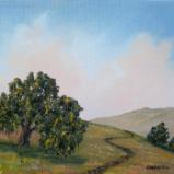 Hillside Oak  5x7"  oil on canvas  SOLD