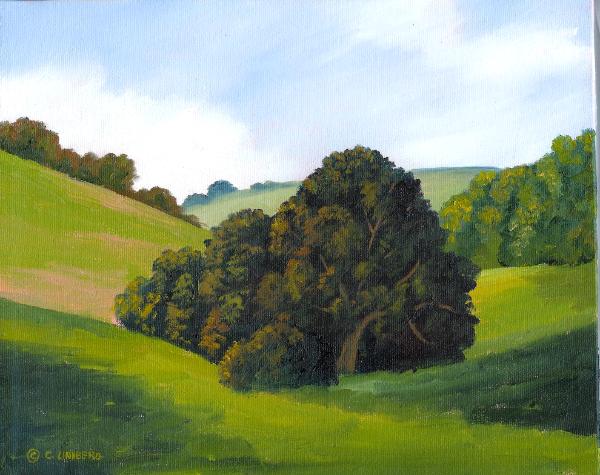 Oak Study  8x10" oil on canvas  $125
